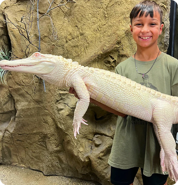 child holding Salt the albino alligator
